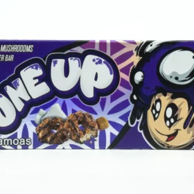 One Up Mushroom Samoas